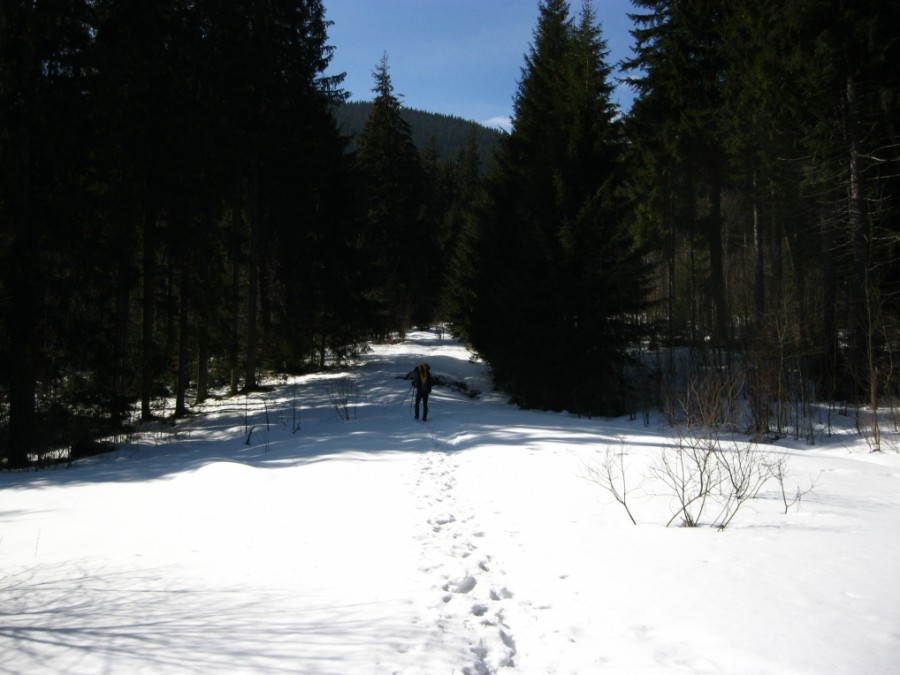 https://ic.pics.livejournal.com/cosmomarmots/76512026/797567/797567_900.jpg