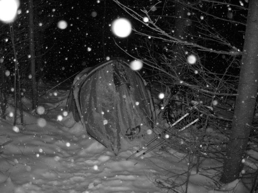https://ic.pics.livejournal.com/cosmomarmots/76512026/801827/801827_900.jpg