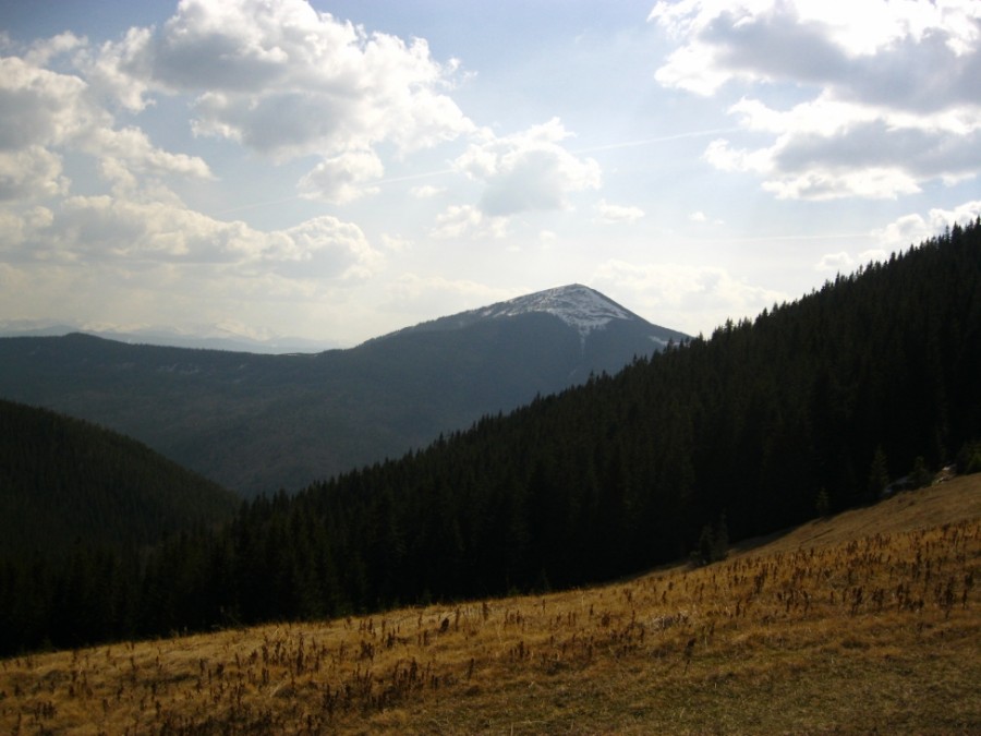 https://ic.pics.livejournal.com/cosmomarmots/76512026/802888/802888_900.jpg