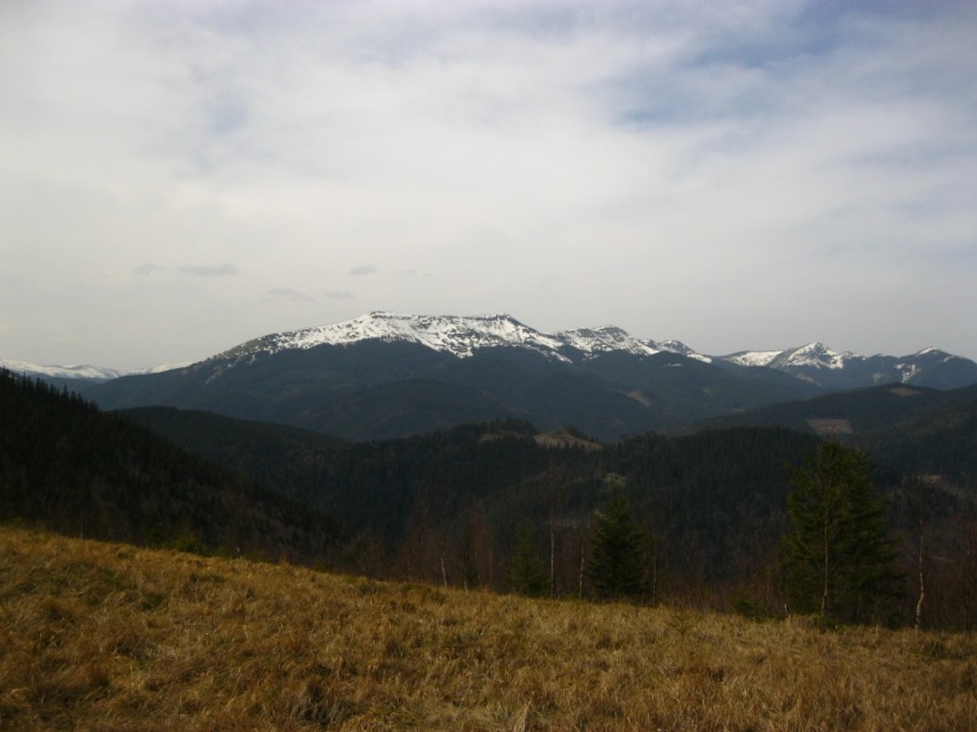 https://ic.pics.livejournal.com/cosmomarmots/76512026/805956/805956_900.jpg