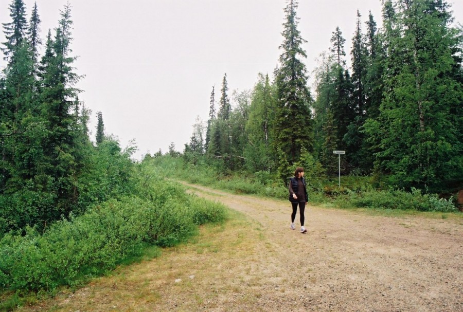 https://ic.pics.livejournal.com/cosmomarmots/76512026/837307/837307_900.jpg