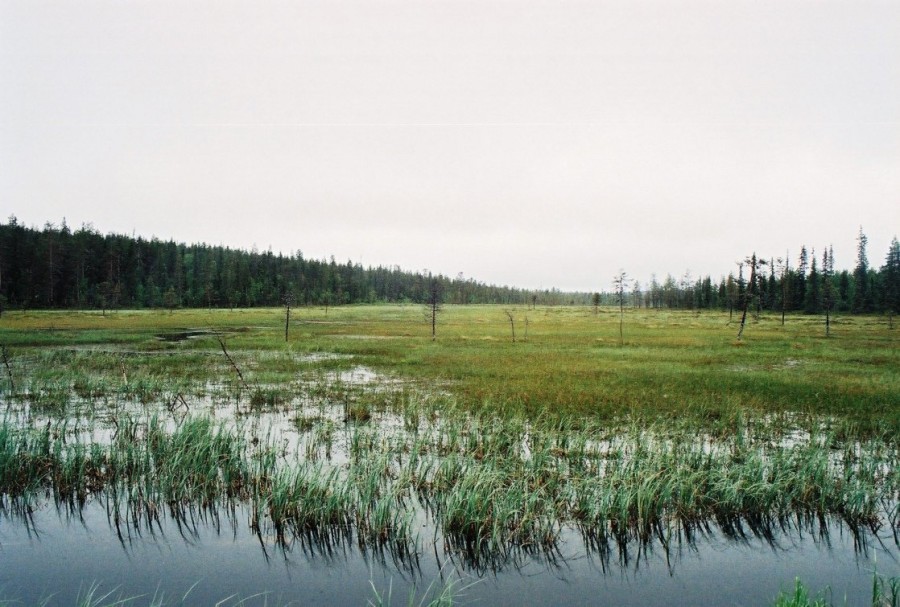 https://ic.pics.livejournal.com/cosmomarmots/76512026/837417/837417_900.jpg
