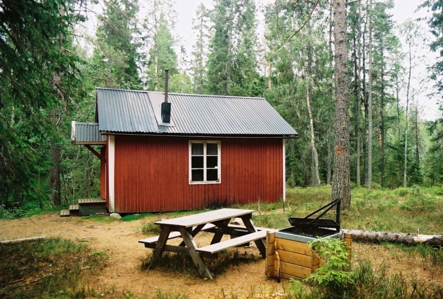 https://ic.pics.livejournal.com/cosmomarmots/76512026/843531/843531_900.jpg