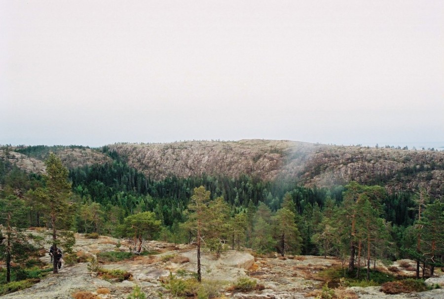 https://ic.pics.livejournal.com/cosmomarmots/76512026/845455/845455_900.jpg