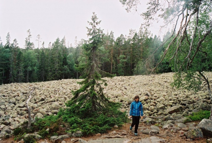 https://ic.pics.livejournal.com/cosmomarmots/76512026/845718/845718_900.jpg
