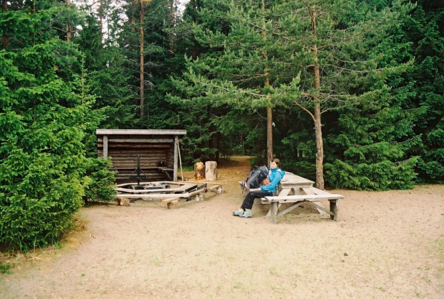https://ic.pics.livejournal.com/cosmomarmots/76512026/846946/846946_900.jpg