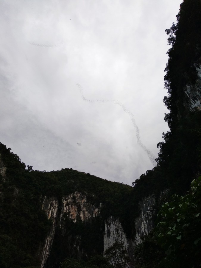 https://ic.pics.livejournal.com/cosmomarmots/76512026/886862/886862_900.jpg