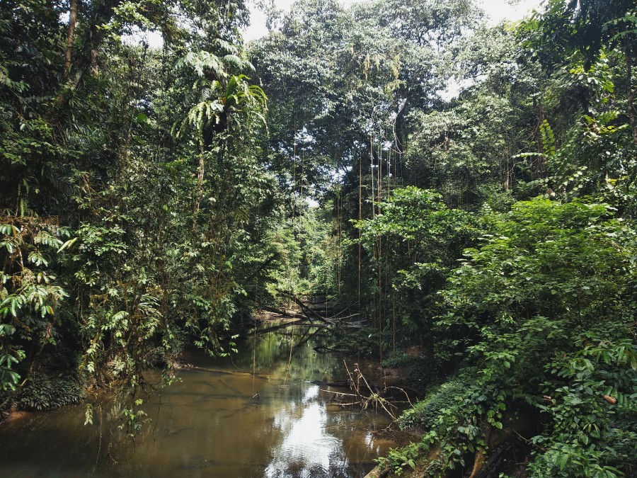 https://ic.pics.livejournal.com/cosmomarmots/76512026/888548/888548_900.jpg