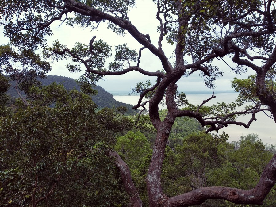 https://ic.pics.livejournal.com/cosmomarmots/76512026/894448/894448_900.jpg