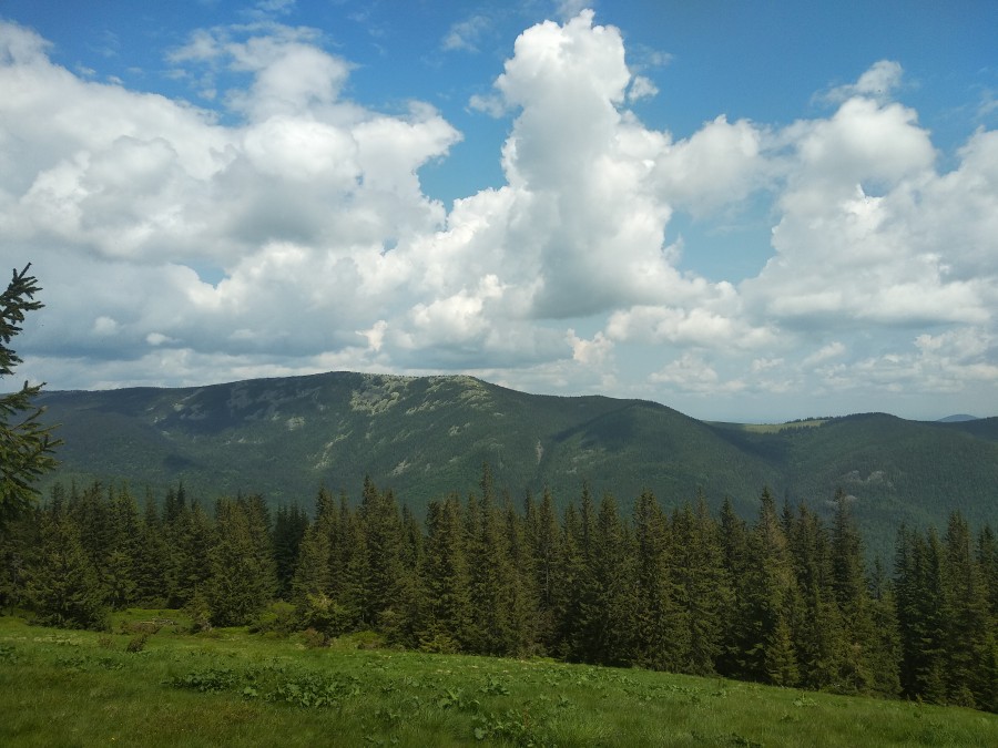 https://ic.pics.livejournal.com/cosmomarmots/76512026/959651/959651_900.jpg