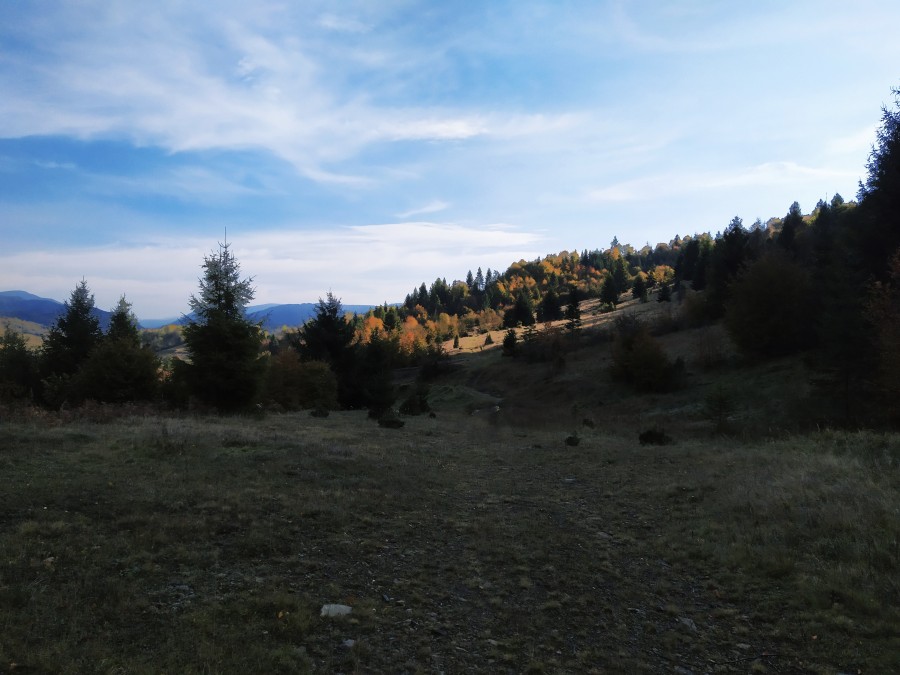 https://ic.pics.livejournal.com/cosmomarmots/76512026/1013350/1013350_900.jpg