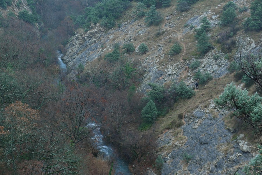 https://ic.pics.livejournal.com/cosmomarmots/76512026/981768/981768_900.jpg