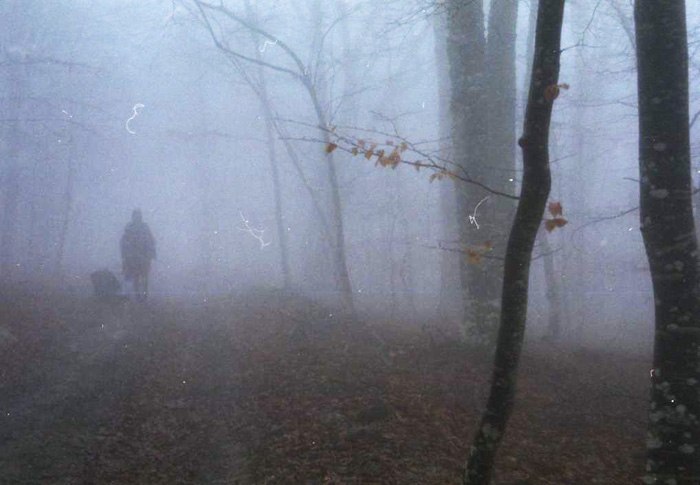https://ic.pics.livejournal.com/cosmomarmots/76512026/1177694/1177694_900.jpg