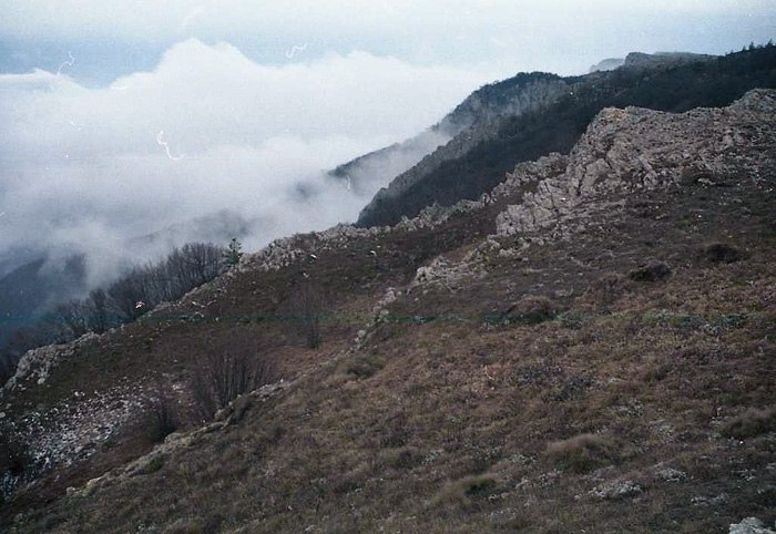 https://ic.pics.livejournal.com/cosmomarmots/76512026/1178284/1178284_900.jpg