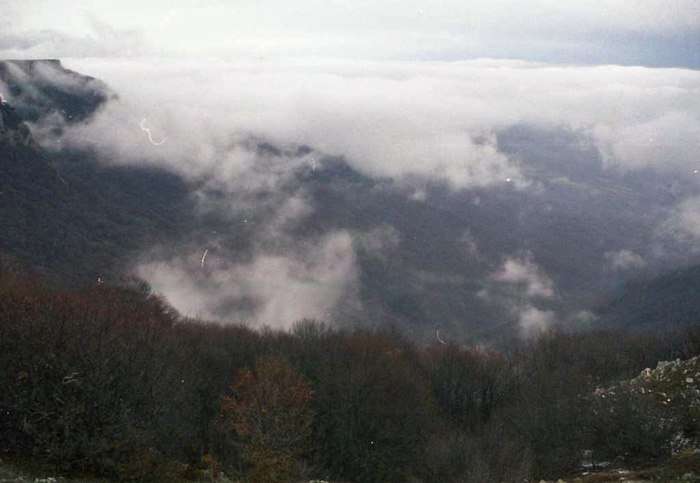 https://ic.pics.livejournal.com/cosmomarmots/76512026/1178884/1178884_900.jpg