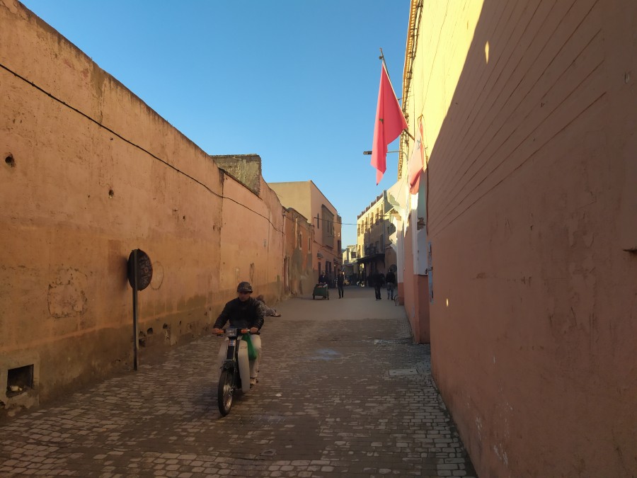 https://ic.pics.livejournal.com/cosmomarmots/76512026/1031741/1031741_900.jpg