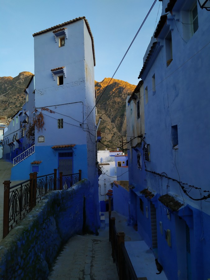 https://ic.pics.livejournal.com/cosmomarmots/76512026/1050659/1050659_900.jpg