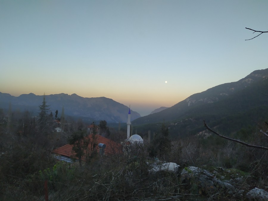 https://ic.pics.livejournal.com/cosmomarmots/76512026/1088929/1088929_900.jpg