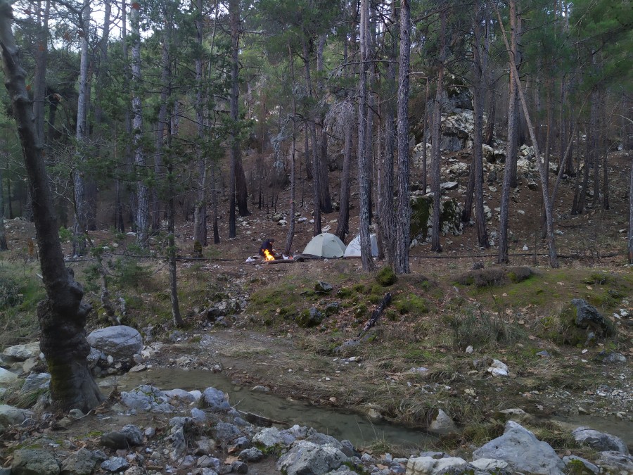 https://ic.pics.livejournal.com/cosmomarmots/76512026/1089167/1089167_900.jpg