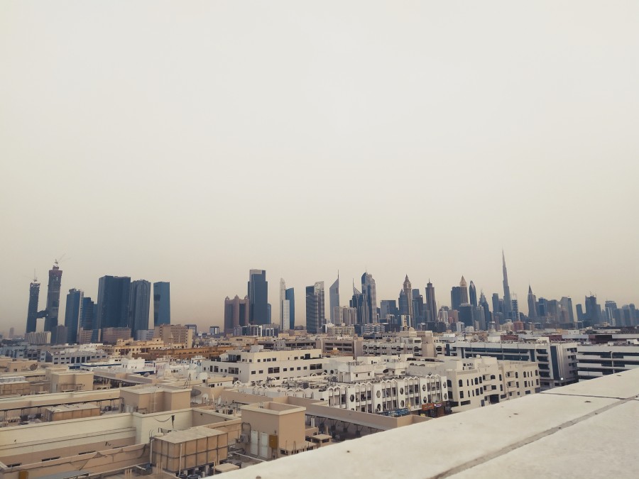 https://ic.pics.livejournal.com/cosmomarmots/76512026/1096256/1096256_900.jpg