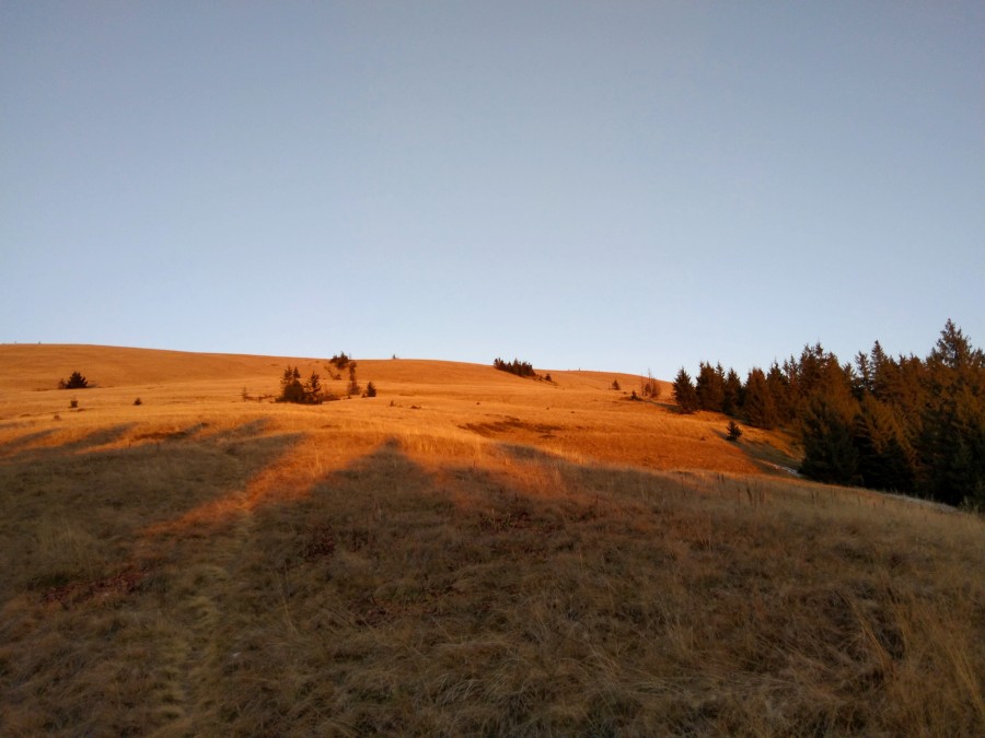 https://ic.pics.livejournal.com/cosmomarmots/76512026/1156238/1156238_900.jpg