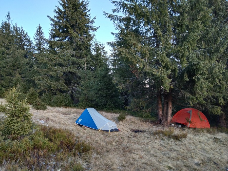 https://ic.pics.livejournal.com/cosmomarmots/76512026/1156472/1156472_900.jpg
