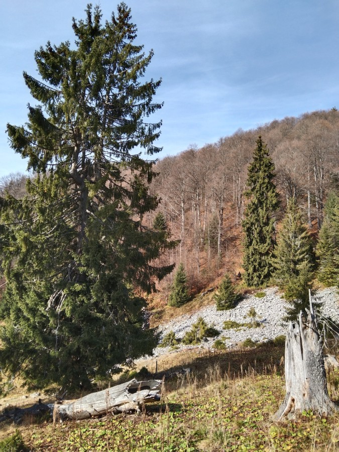 https://ic.pics.livejournal.com/cosmomarmots/76512026/1162154/1162154_900.jpg