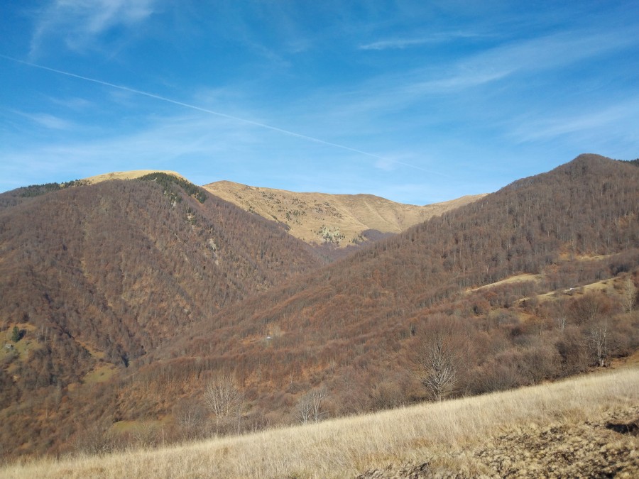 https://ic.pics.livejournal.com/cosmomarmots/76512026/1162258/1162258_900.jpg