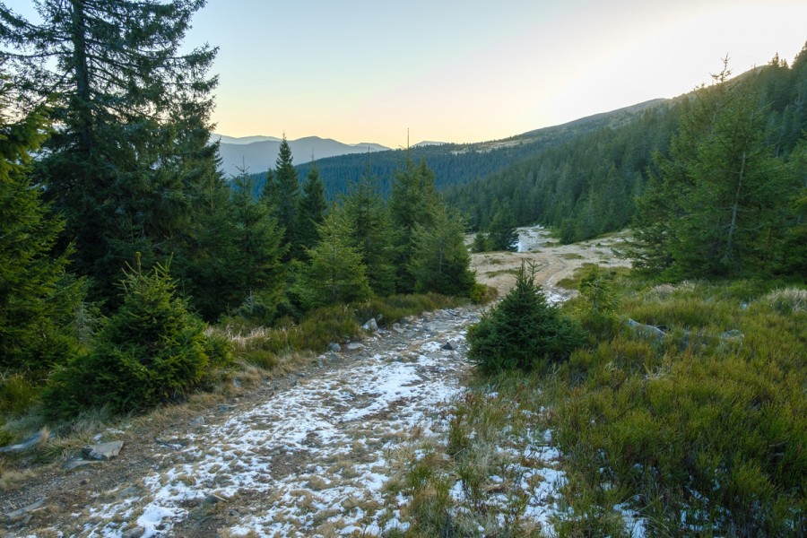 https://ic.pics.livejournal.com/cosmomarmots/76512026/1169711/1169711_900.jpg