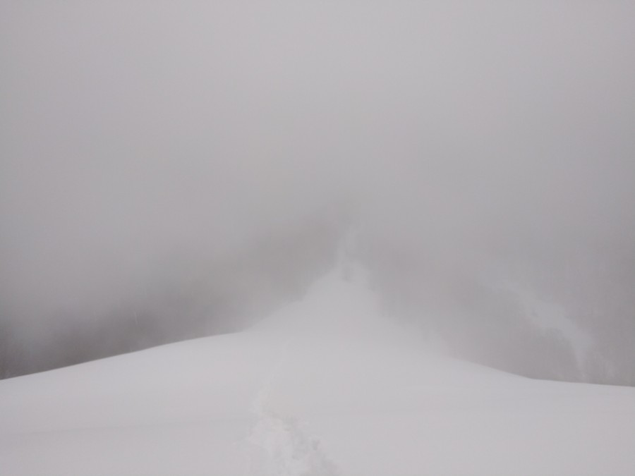 https://ic.pics.livejournal.com/cosmomarmots/76512026/1184820/1184820_900.jpg