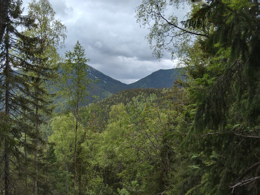 https://ic.pics.livejournal.com/cosmomarmots/76512026/1186146/1186146_900.jpg