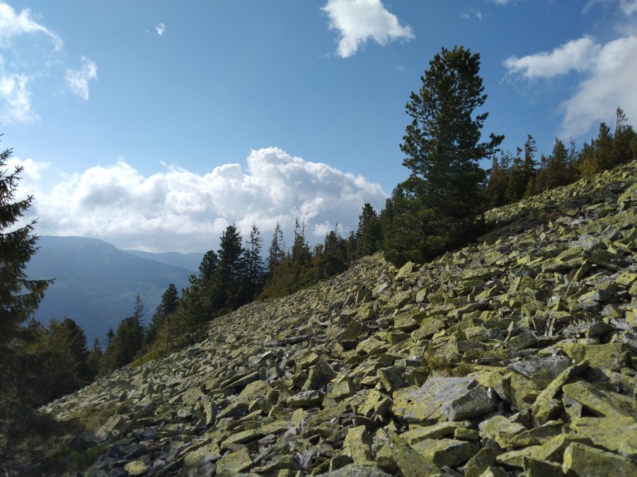 https://ic.pics.livejournal.com/cosmomarmots/76512026/1187718/1187718_900.jpg