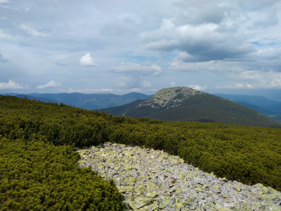 https://ic.pics.livejournal.com/cosmomarmots/76512026/1190765/1190765_900.jpg