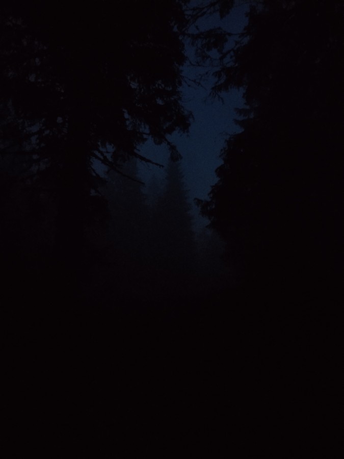 https://ic.pics.livejournal.com/cosmomarmots/76512026/1193087/1193087_900.jpg