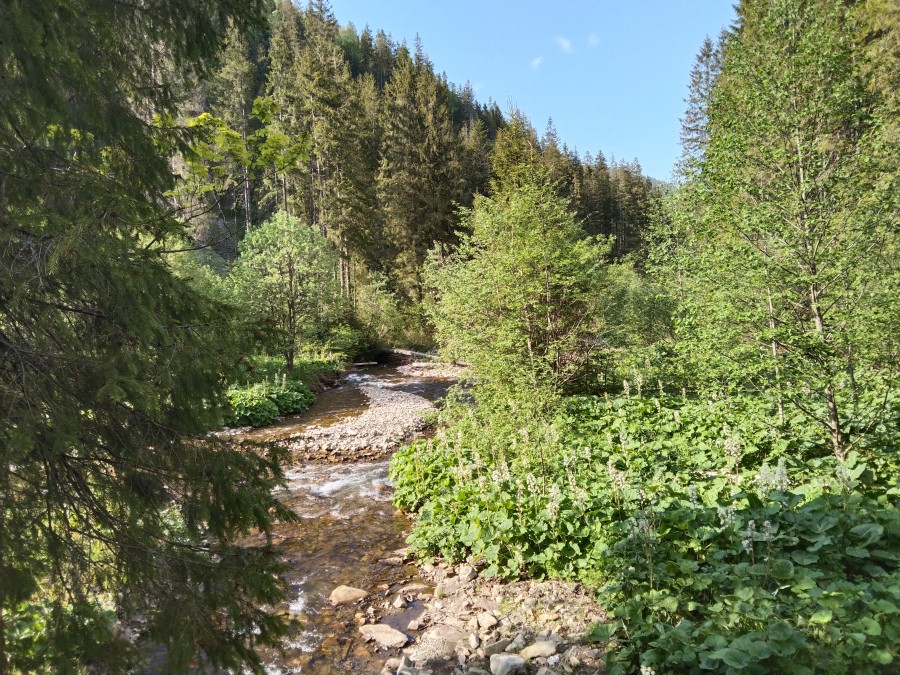 https://ic.pics.livejournal.com/cosmomarmots/76512026/1195944/1195944_900.jpg