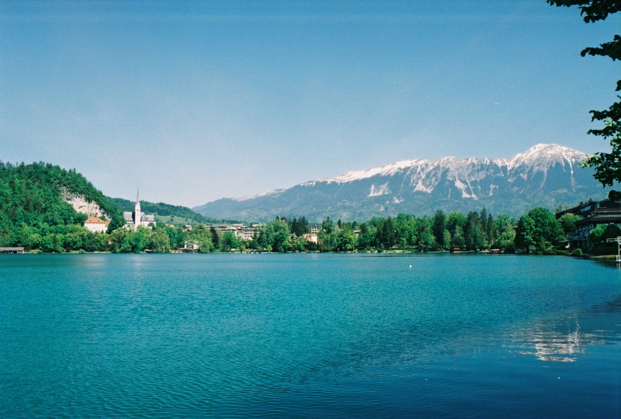 https://ic.pics.livejournal.com/cosmomarmots/76512026/15243/15243_900.jpg
