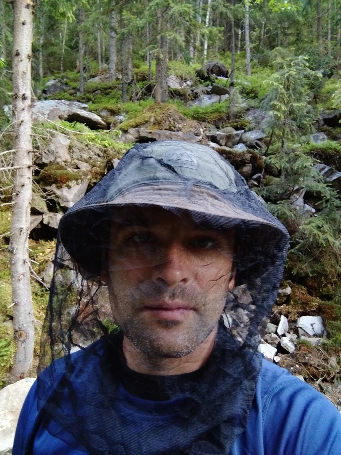 https://ic.pics.livejournal.com/cosmomarmots/76512026/1226080/1226080_900.jpg