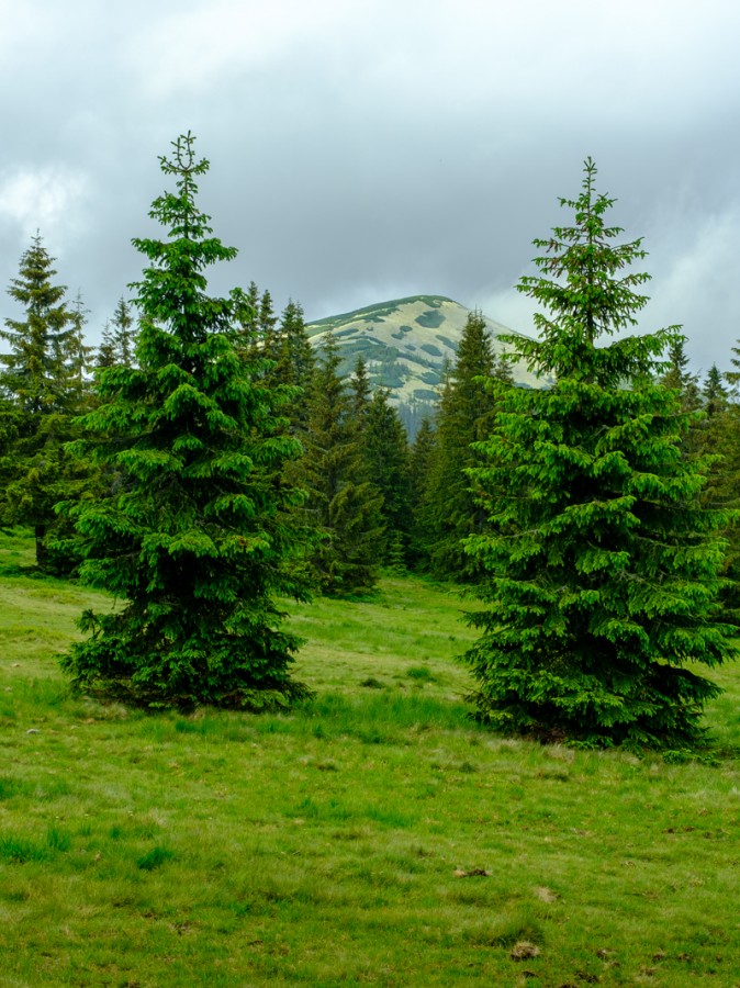 https://ic.pics.livejournal.com/cosmomarmots/76512026/1235595/1235595_900.jpg