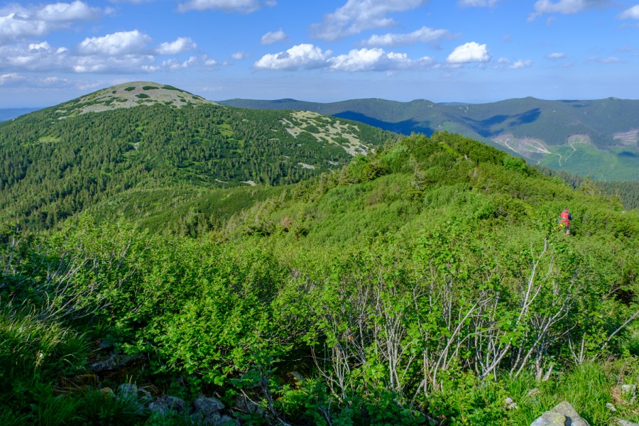 https://ic.pics.livejournal.com/cosmomarmots/76512026/1235901/1235901_900.jpg