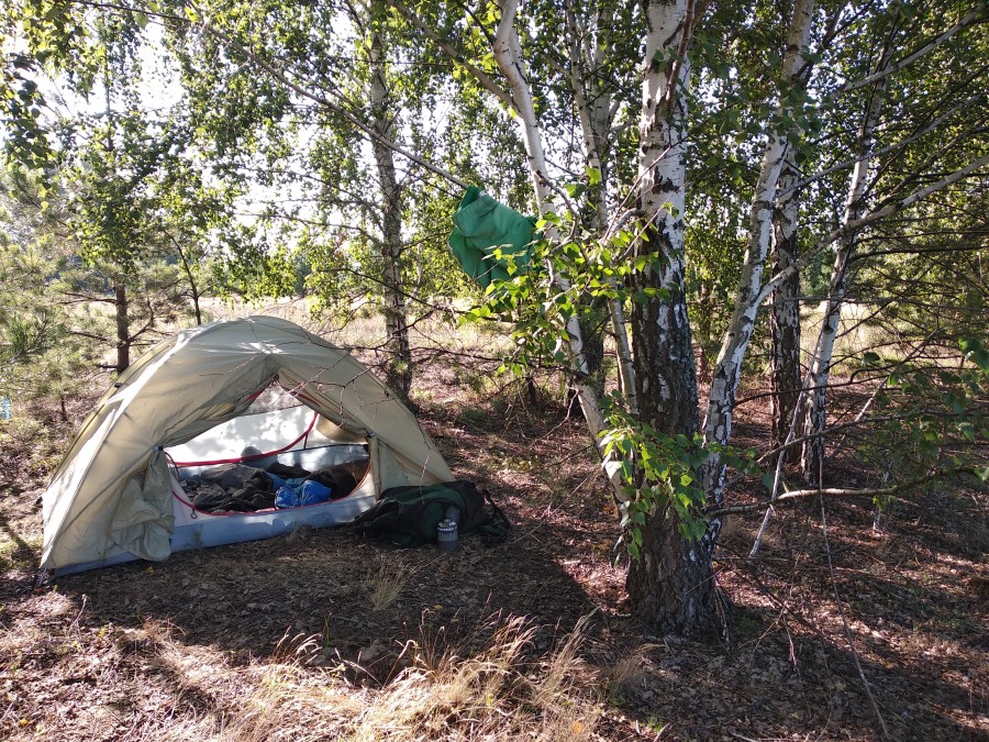 https://ic.pics.livejournal.com/cosmomarmots/76512026/1163948/1163948_900.jpg