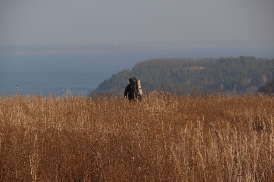 https://ic.pics.livejournal.com/cosmomarmots/76512026/1165639/1165639_900.jpg