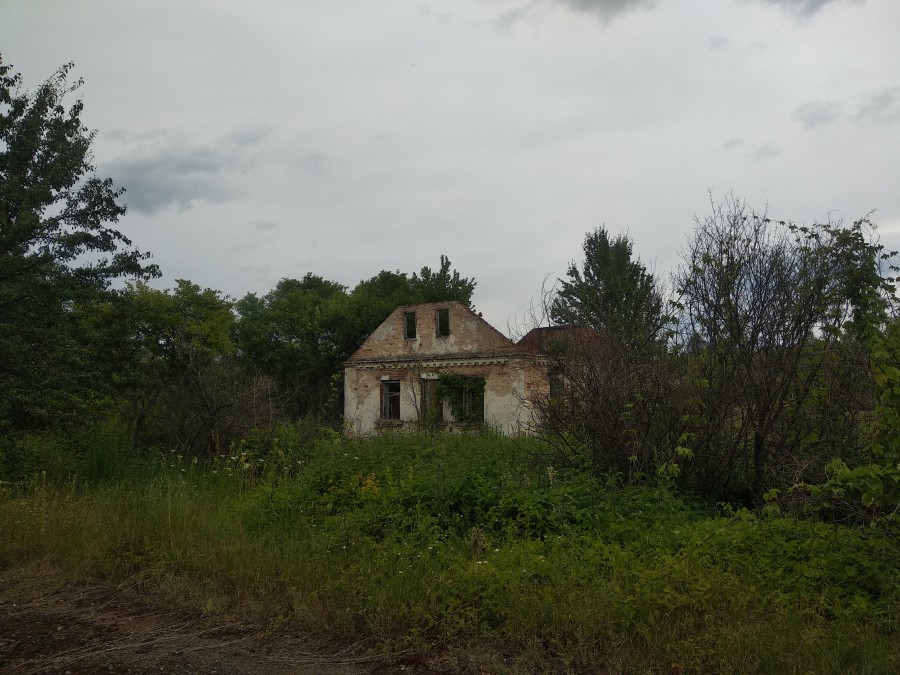 https://ic.pics.livejournal.com/cosmomarmots/76512026/1166626/1166626_900.jpg