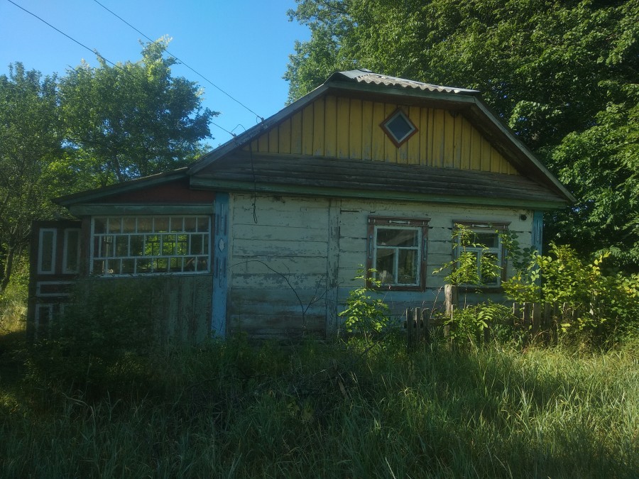 https://ic.pics.livejournal.com/cosmomarmots/76512026/1167148/1167148_900.jpg