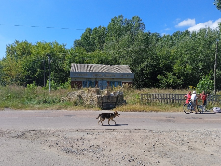 https://ic.pics.livejournal.com/cosmomarmots/76512026/1242267/1242267_900.jpg