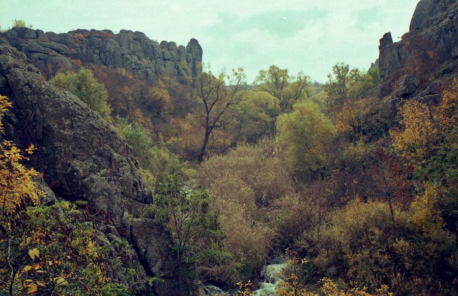 https://ic.pics.livejournal.com/cosmomarmots/76512026/1174290/1174290_900.jpg