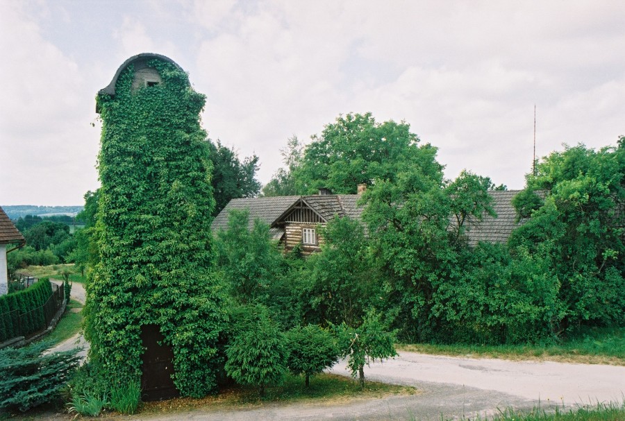 https://ic.pics.livejournal.com/cosmomarmots/76512026/124816/124816_900.jpg