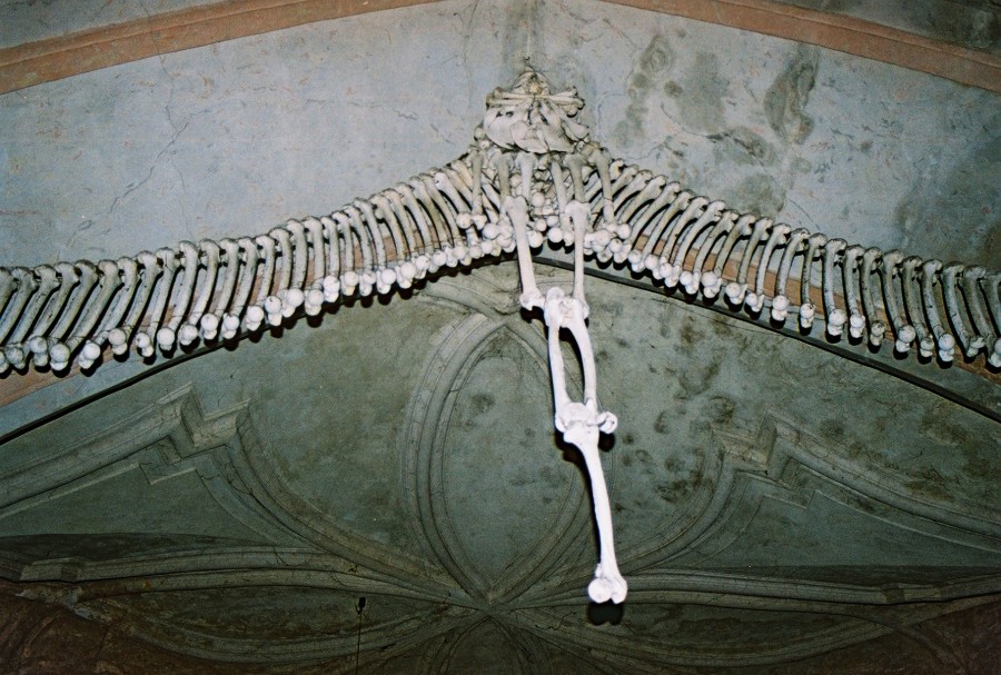 https://ic.pics.livejournal.com/cosmomarmots/76512026/128966/128966_900.jpg