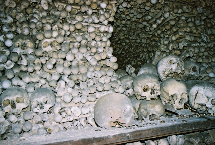 https://ic.pics.livejournal.com/cosmomarmots/76512026/129425/129425_900.jpg