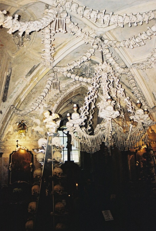 https://ic.pics.livejournal.com/cosmomarmots/76512026/129734/129734_900.jpg