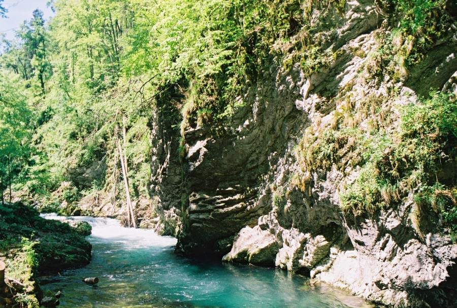 https://ic.pics.livejournal.com/cosmomarmots/76512026/15876/15876_900.jpg